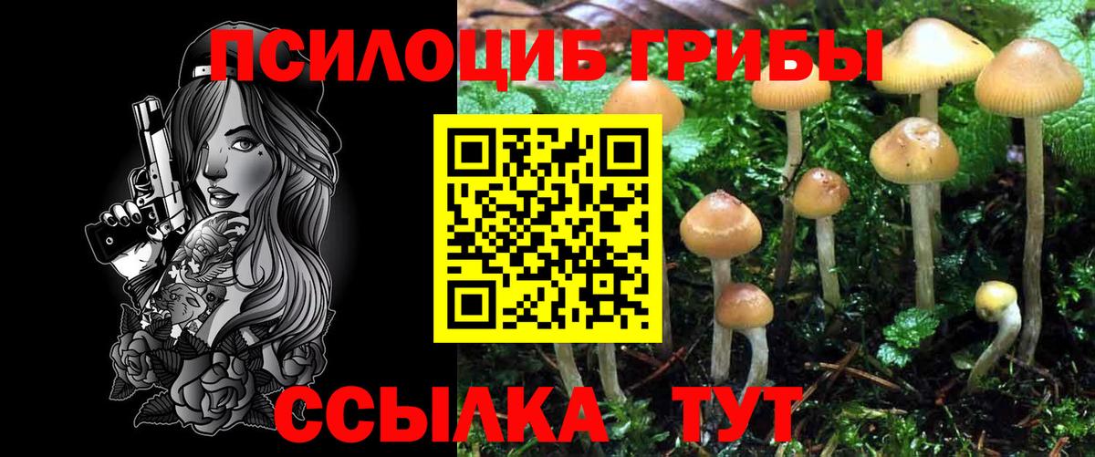 Галлюциногенные грибы мухоморы Славянск-на-Кубани