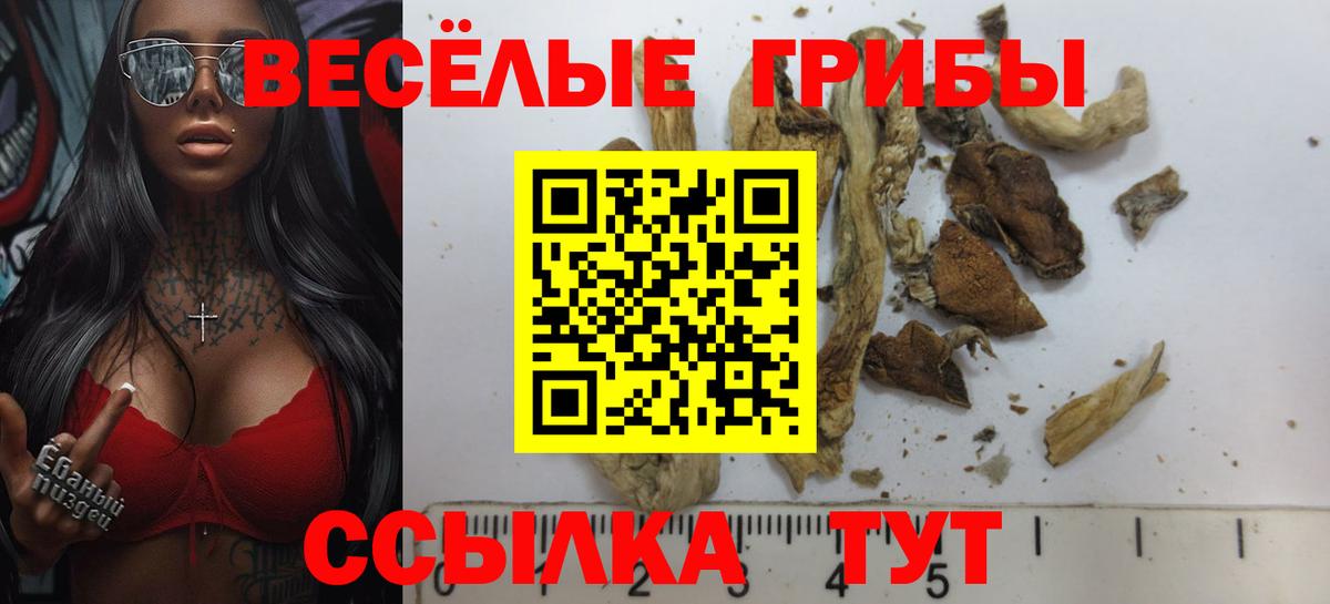 Псилоцибиновые грибы ЛСД  Вход с VPN  Галлюциногенные грибы прущие грибы  Славянск-на-Кубани 